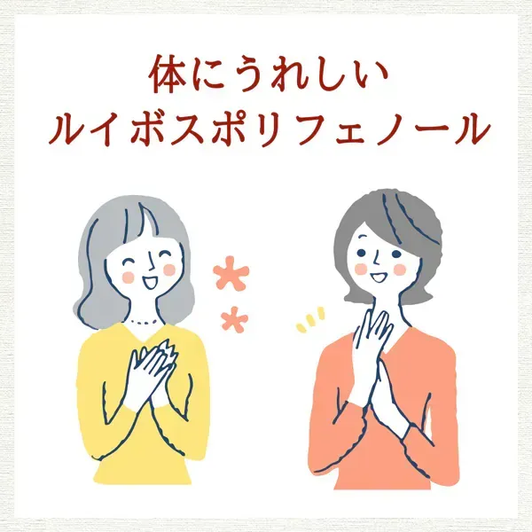 이토엔 헬실 이보스티 티백 2.0g×100봉지 [티백]