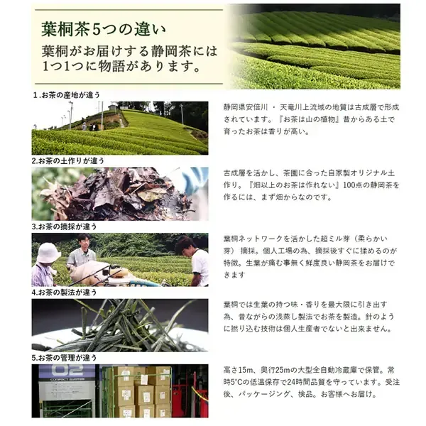 엽동 농약 미사용 재배 시즈오카산 깊은 김밥 100g