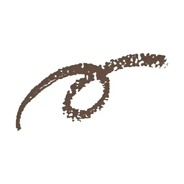 시세이도 SHISEIDO 시세이도 눈썹 연필 2 다크 브라운