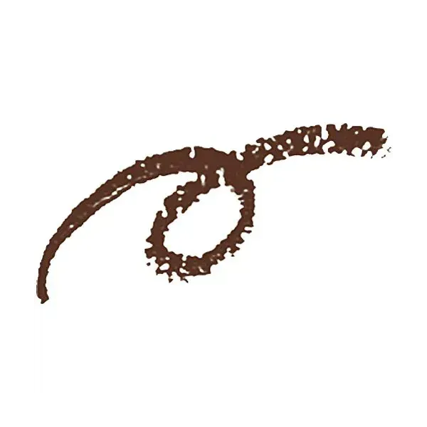 시세이도 SHISEIDO 인테그레이트 INTEGRATE 인테그레이트 아이브로 펜슬 BR666 다크 브라운